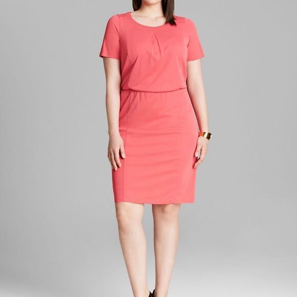 NWT Pink Jersey Plus Size  Dress - Picture 1 of 11